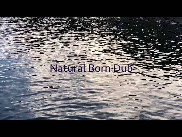藤原ヒロシ Hiroshi Fujiwara - Natural Born Dub - YouTube