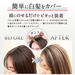 ヨドバシ.com - シートエクステ SHEET EXTE SHEET EXTE アッシュ