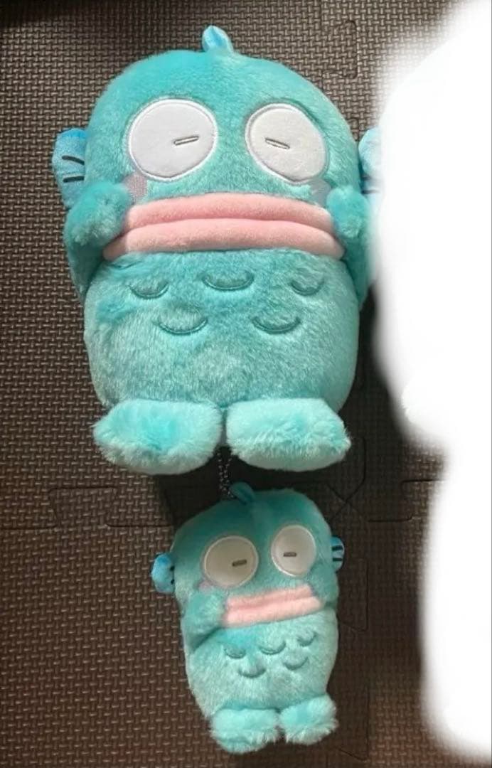 ハンギョドン　ぬいぐるみ　セット　サンリオほっぺぎゅ Amazon.co.jp: ハンギョドン ほっぺぎゅ～ボアむにゅぐるみS ≪KThingS